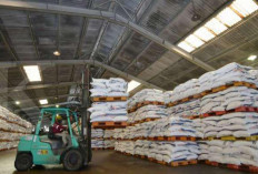 DPRD Kaltim Minta Pola Distribusi Pupuk Dibenahi, Libatkan BUMDes untuk Awasi dari Desa