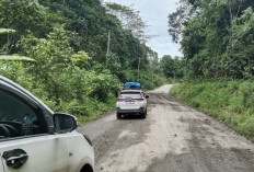 Catatan Perjalanan: Sisa Sedikit Lagi, Jalur Kubar-Mahulu Mulus Total
