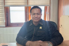 DPRD Balikpapan Perketat Pengawasan SPMB, Pastikan Proses Seleksi Berjalan Transparan