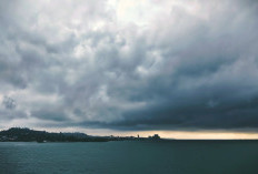 Ramalan Cuaca Kaltim dan IKN, 20 Februari 2026, Cek di Sini!