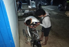 Curanmor Dominasi Kasus Kriminalitas di Paser Selama 2025