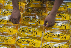 Harga MinyaKita Berpotensi Naik, Pemerintah Berencana Sesuaikan HET
