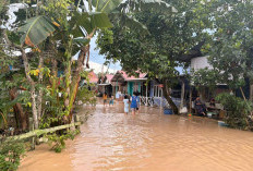 Akibat Curah Hujan Beberapa Wilayah di Sangatta Kutai Timur Tergenang, Warga Pilih Masih Bertahan di Rumah 