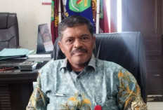 Petambak PPU Budidayakan Rumput Laut Gracilaria, Tembus Pasar Makassar dan Jawa