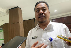 Dishut Kaltim Akui Sulit Biayai Ratusan Tenaga Bakti Rimbawan, Terdampak Pemangkasan TKD