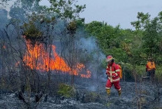 Palaran hingga Sambutan Masuk Pantauan Karhutla BPBD Samarinda di Puncak Musim Panas