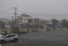 Curah Hujan di Berau Diprediksi Tinggi hingga Akhir Februari, Masyarakat Diminta Tingkatkan Kewaspadaan