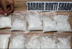 Tiap Tahun Kasus Naik, BNNP Kaltim Sita 42 Kilogram Sabu Sepanjang 2025
