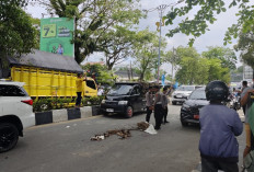 Kecelakaan Maut di Jalan Juanda Samarinda, Satu Pengendara Motor Tewas di Terlindas Truk Tangki