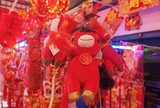  Jelang Tahun Baru Imlek 2577, Penjualan Ornamen dan Pernak Pernik di Samarinda Menggeliat 