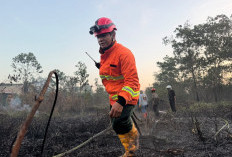 211 Hektare Lahan Terbakar, Samarinda Ajukan Modifikasi Cuaca ke BNPB 