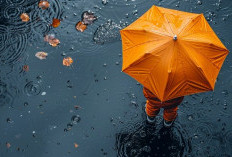 Ramalan Cuaca Kaltim dan IKN, 27 Februari 2026, Cek di Sini!