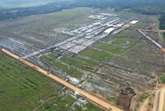 Pabrik Metanol Rp41,2 Triliun Dibangun di Kutim, Diproyeksi Serap 5.000 Tenaga Kerja