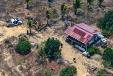 36 Persen Tahura Bukit Soeharto Diserobot, OIKN Lakukan Penertiban