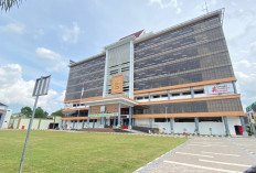 Kejati Kaltim Tanggapi Insiden Kapal Tabrak Jembatan, Waspadai Potensi Pelanggaran Hukum