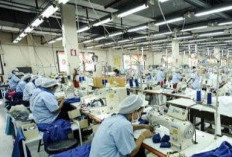 Naskah belum Final, Daftar Inventarisasi Masalah RUU Pelindungan Ketenagakerjaan Tembus 2.100