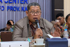 Hotspot Terdeteksi di Kawasan Tambang, BPBD Kaltim Sebut Belum Tentu Kebakaran