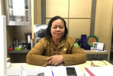 Usulan BTS ke Komdigi Belum Dikabulkan, Berau Andalkan VSAT untuk Atasi Blankspot