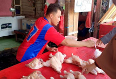 Sempat Sentuh Rp95 Ribu per Kg Usai Lebaran, Kini Harga Daging Ayam di Tenggarong Turun