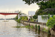 DKP Kukar Wanti-Wanti Dampak Air Bangar di Sungai Mahakam