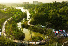 OIKN Tanam 1.708 Pohon di RTH DAS Sanggai, Basuki: Harus Jadi Gaya Hidup
