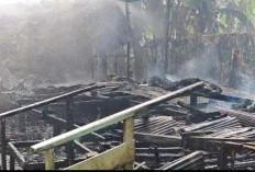 Ditinggal Pergi ke Kebun, Rumah Kayu Milik Warga Lok Bahu Samarinda Habis Terbakar
