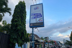 Jauh dari Target Rp 10 Miliar, Realisasi Pajak Reklame Samarinda Baru Capai Rp 1,2 Miliar 