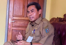 Soal Anak Bunuh Diri di Kuaro, DPPKBP3A Paser Sebut Permasalahan Kompleks