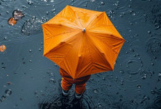 Ramalan Cuaca Kaltim dan IKN, 20 Desember 2025, Cek di Sini!