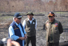 Karhutla Ancam Kawasan IKN, Tiga Perusahaan Pemegang Izin Ditindak