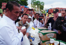 Bapanas Gelontorkan 6,8 Ribu Ton Beras untuk Korban Gempa di 5 Kabupaten NTT