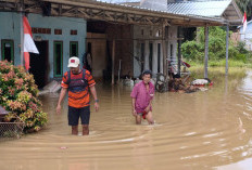 Meski Turun, BPBD Catat Banjir Dominasi Bencana di Paser Sepanjang 2025