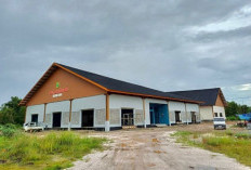 TPI Tanjung Batu Digadang-gadang Jadi 'Mesin Uang' PAD Berau 