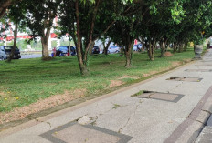 Taman Ulin Bersih Lagi, DLHK Kukar Bakal Libatkan CSR untuk Kebersihan RTH