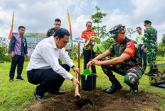 Kubar Tanam 5.900 Pohon, Dorong Ekonomi Hijau dan Lawan Perubahan Iklim