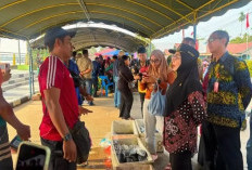 Pasar Ikan Murah Terus Berlanjut, Buka Akses Pangan Berkualitas untuk Masyarakat