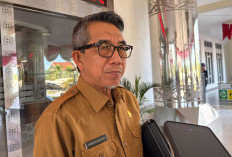 Kutim Kembali Raih WTP, Bupati Minta OPD Tuntaskan 65 Rekomendasi BPK
