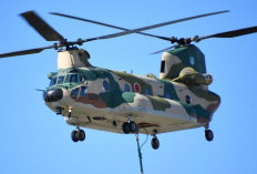 Jepang Turunkan 3 Helikopter Chinook untuk Karhutla Indonesia, Mulai Beroperasi 12 September