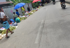 Penjual Jagung Musiman Diizinkan Berjualan di Trotoar Saat Malam Tahun Baru