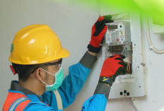 Tarif Listrik Triwulan I Tahun 2026 Tidak Naik, Berikut Daftarnya