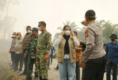 Kabut Asap kembali Mengepung Berau, Bupati Sri Juniarsih Imbau Warga Pakai Masker