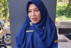 Lestarikan Hutan Sebagai Sumber Pendapatan Baru Melalui Dana Karbon, Berau Penerima Terbesar