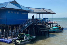 Tiang Dermaga Speedboat Penajam Keropos, Pemprov Kaltim Turunkan Tim Perbaikan