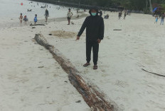 Bocah 9 Tahun Terhantam Kayu Gelondongan di Pantai Biduk Biduk Berau hingga Pingsan