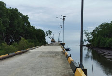 Rencana Hilirisasi CPO ke Biodiesel, Pemkab Kutim Siapkan KEK Maloy jadi Basis Industri Sawit 