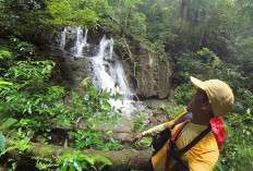 Pesona Rantau Buta di Paser: Air Terjun 8 Tingkat hingga Satwa Endemik 