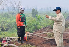 Korporasi Penyebab Karhutla, Presiden Prabowo: Kalau Benar-Benar Terbukti, Ya Kita Tindak