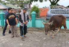 Pemkab Kukar Serahkan Bantuan 2 Ekor Sapi Kurban di Muara Badak