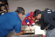 Tangani 264 Insiden Sepanjang 2025, SDM BPBD Berau Jauh dari Kata Ideal