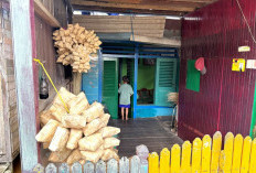 Kampung Ketupat Samarinda, Tradisi Betolongan Etam dan Peluang Ekonomi di Tepian Mahakam